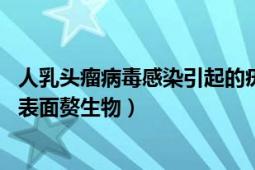 人乳頭瘤病毒感染引起的疣（疣 人類乳頭瘤病毒引起的皮膚表面贅生物）