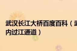 武漢長江大橋百度百科（武漢長江大橋 中國湖北省武漢市境內(nèi)過江通道）