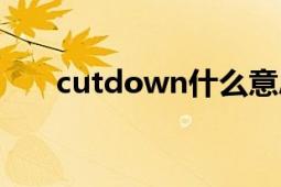 cutdown什么意思中文（cutdown）