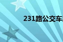 231路公交車路線查詢（231）