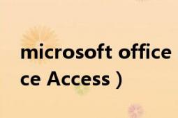 microsoft office access（Microsoft Office Access）