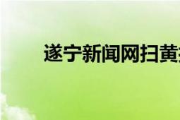 遂寧新聞網(wǎng)掃黃打非（遂寧新聞網(wǎng)）