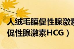 人絨毛膜促性腺激素hcg檢測試紙（人絨毛膜促性腺激素HCG）