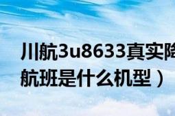 川航3u8633真實(shí)降落紀(jì)錄片（川航3U8633航班是什么機(jī)型）