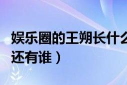 娛樂圈的王朔長什么樣子（京城四少除了王朔還有誰）