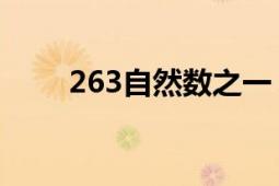 263自然數(shù)之一（263 自然數(shù)之一）