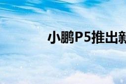 小鵬P5推出新車型（小鵬P5）