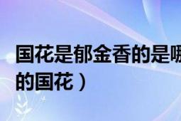 國(guó)花是郁金香的是哪個(gè)國(guó)（郁金香是哪個(gè)國(guó)家的國(guó)花）