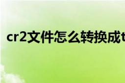 cr2文件怎么轉(zhuǎn)換成tiff（cr2文件怎么打開）