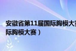 安徽省第11屆國際胸模大賽（“合肥華美杯”安徽第二屆國際胸模大賽）