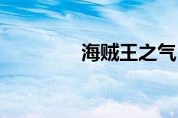 海賊王之氣（海賊王之氣）