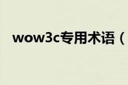 wow3c專用術(shù)語(yǔ)（WOW3C的專業(yè)術(shù)語(yǔ)）