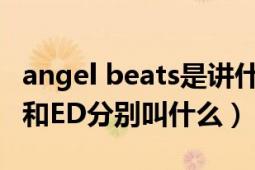 angel beats是講什么的（AngelBeats的OP和ED分別叫什么）