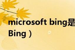 microsoft bing是什么瀏覽器（Microsoft Bing）