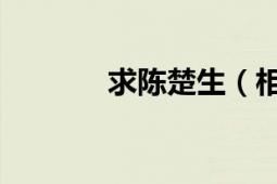 求陳楚生（相忘于江湖 歌詞）