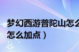 夢幻西游普陀山怎么加點(diǎn)的（夢幻西游普陀山怎么加點(diǎn)）