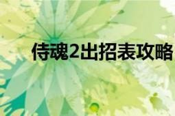 侍魂2出招表攻略（侍魂2游戲出招表）