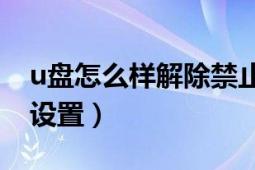 u盤怎么樣解除禁止寫入（U盤禁止寫入如何設(shè)置）