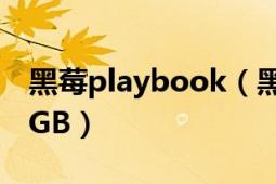 黑莓playbook（黑莓PlayBook平板電腦32GB）