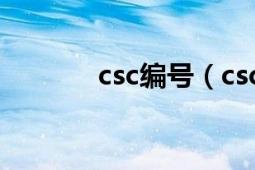 csc編號（csc 完全狀態(tài)編碼）