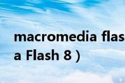 macromedia flash 8序列號(hào)（Macromedia Flash 8）