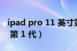 ipad pro 11 英寸第2代（iPad Pro 11 英寸 第 1 代）