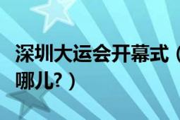 深圳大運會開幕式（深圳大運會開幕式地點在哪兒?）