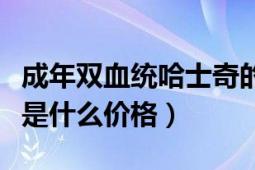 成年雙血統(tǒng)哈士奇的價格（成都雙血統(tǒng)哈士奇是什么價格）