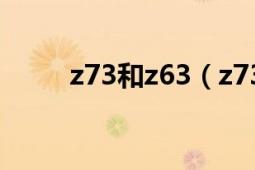 z73和z63（z73和cz73有區(qū)別嗎）