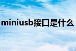 miniusb接口是什么（miniUSB接口是什么）