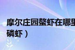 摩爾莊園螯蝦在哪里獲?。柷f園怎樣得到磷蝦）