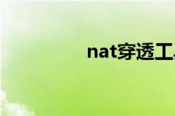 nat穿透工具（nat穿透）