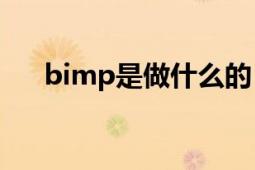 bimp是做什么的（BIMP是什么項目）