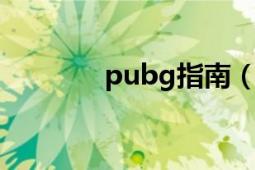 pubg指南（pub 基本信息）