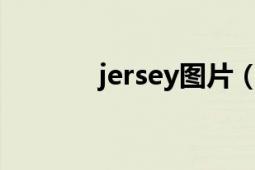 jersey圖片（Jersey 緊身衣）