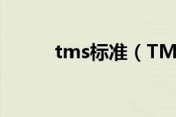 tms標準（TMS TMS文件定義）