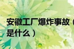 安徽工廠爆炸事故（安徽銅陵工廠爆炸的原因是什么）