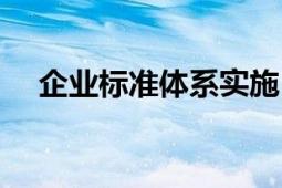 企業(yè)標準體系實施（企業(yè)標準體系要求）