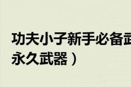 功夫小子新手必備武器（功夫小子怎么才能刷永久武器）