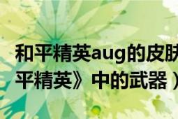 和平精英aug的皮膚都有哪些（aug 手游《和平精英》中的武器）