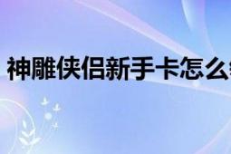 神雕俠侶新手卡怎么領(lǐng)?。ㄉ竦駛b侶新手卡）