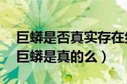 巨蟒是否真實存在紀錄片（四川發(fā)現(xiàn)的50米巨蟒是真的么）