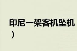 印尼一架客機(jī)墜機(jī)（1029印尼客機(jī)墜海事故）