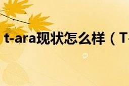 t-ara現(xiàn)狀怎么樣（T-ara事件的真相是什么）