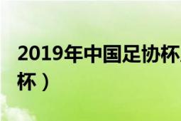 2019年中國足協(xié)杯足球賽（2019年中國足協(xié)杯）