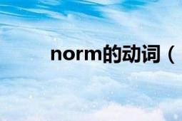 norm的動(dòng)詞（NORM 英語單詞）