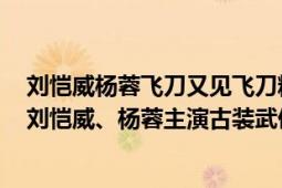 劉愷威楊蓉飛刀又見飛刀精彩劇情（飛刀又見飛刀 2016年劉愷威、楊蓉主演古裝武俠?。?></div></a><div   id=