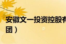 安徽文一投資控股有限公司（安徽文一投資集團）