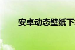 安卓動態(tài)壁紙下載（安卓動態(tài)壁紙）