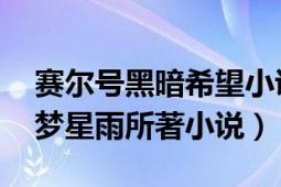 賽爾號(hào)黑暗希望小說(shuō)（賽爾號(hào)光明的救贖 晶夢(mèng)星雨所著小說(shuō)）